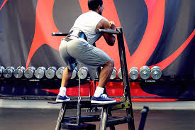 Hip Belt Squat